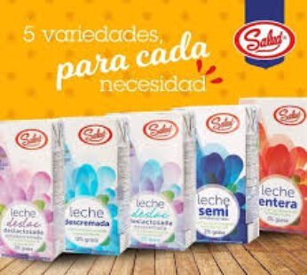 Bebida Leche UHT Salud Deslactosada 1000mL Cartón