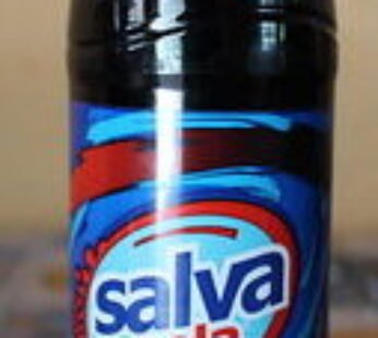 Gaseosa Salva Cola 355 ml Salvacola