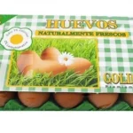 HUEVOS GOLDEX 15 UND 960 GR EXTRA GRANDE