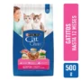 SE-MAS-ALI-ALI-1034 Alimento para gatos Cat Chow Gatito Defense plus 500g Bolsa